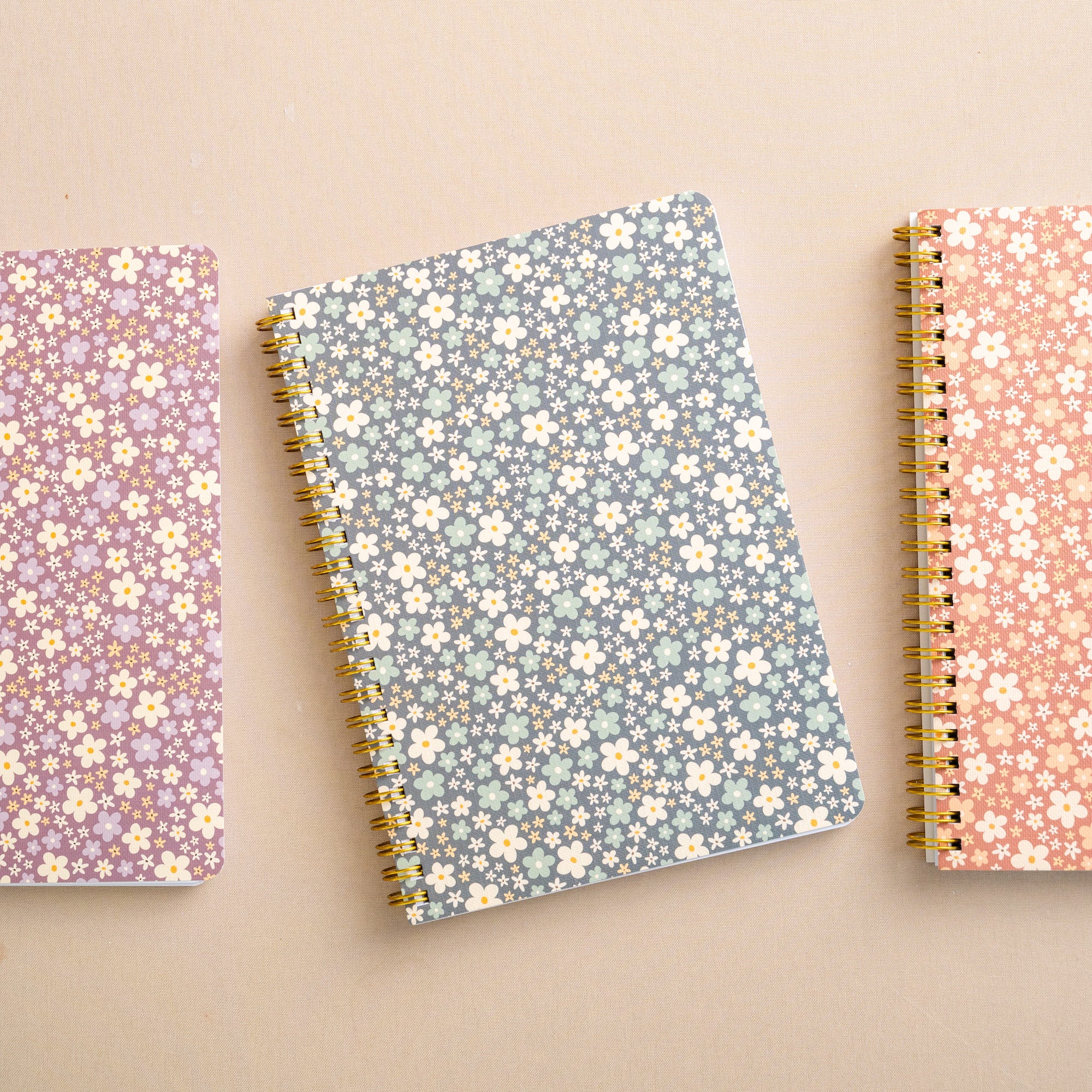 Notebooks – manda